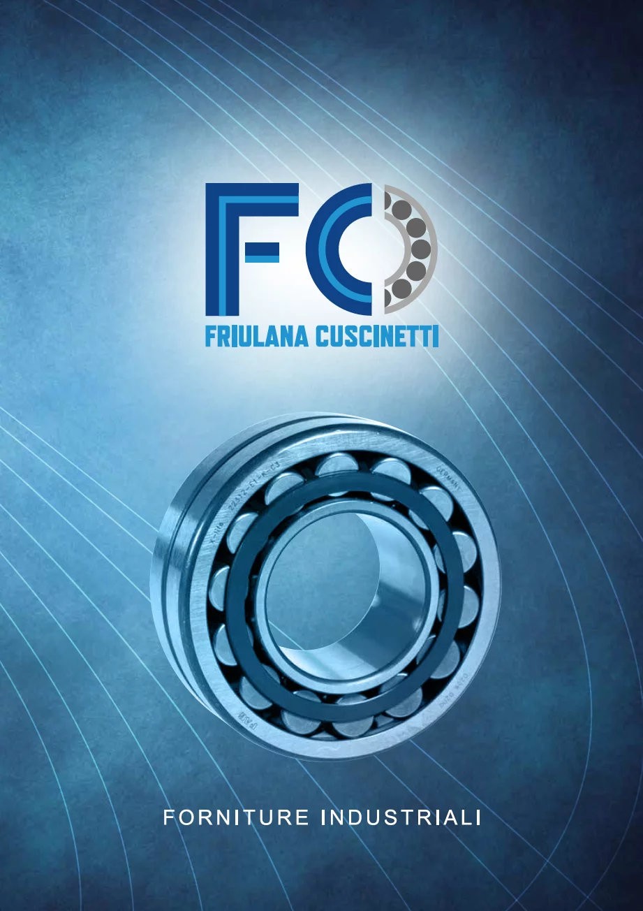 La nuova brochure Friulana Cuscinetti